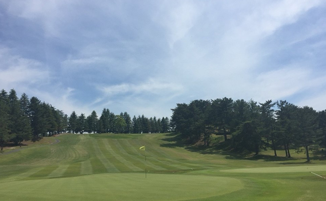 フォトギャラリー