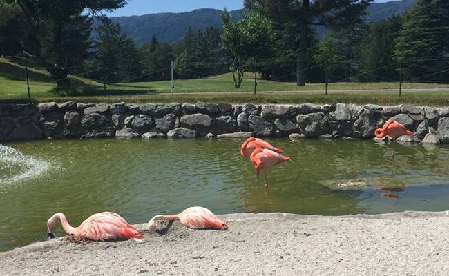 フォトギャラリー