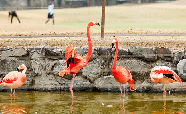 フォトギャラリー