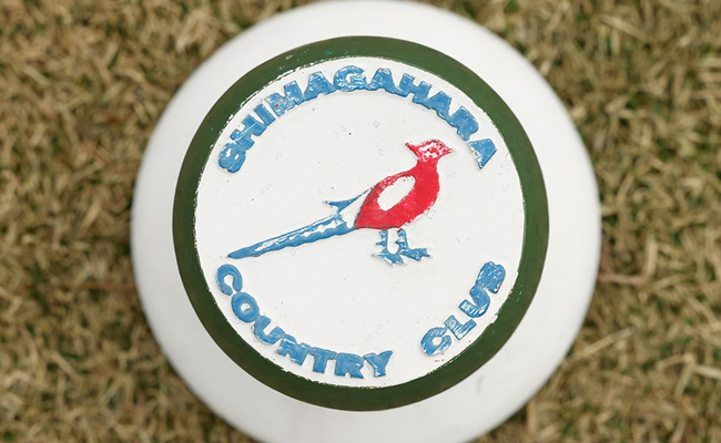 フォトギャラリー